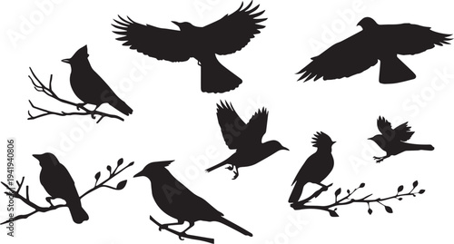 Set of four bird silhouettes flying in different poses vector illustration