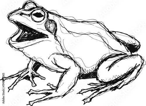 Detailed black and white sketch of a frog with open mouth, amphibian illustration, hand drawn wildlife animal art