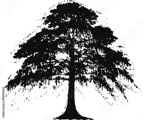 Silhouette of a large spreading tree with dense foliage and textured branches