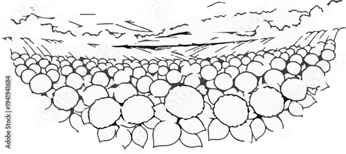 A field of blooming flowers under a dramatic, cloudy sky