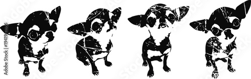 four playful chihuahua dogs set small black and white puppies in various poses with expressive eyes and ears