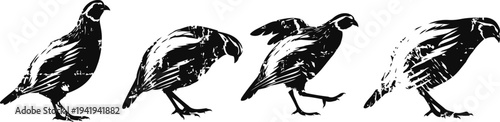 black silhouette birds in various walking and pecking poses, vintage ink