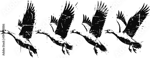 Four flying swans in black silhouette with textured distressed effect isolated on white background