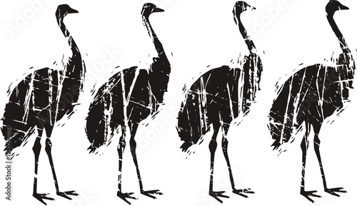 Silhouettes of four emu birds in different poses with textured vintage grunge