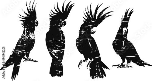 silhouettes of four cockatoos with crests standing and perched in different poses
