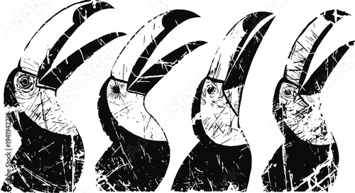 black and white grunge toucan birds set with textured distressed effects detailed beaks and feathers