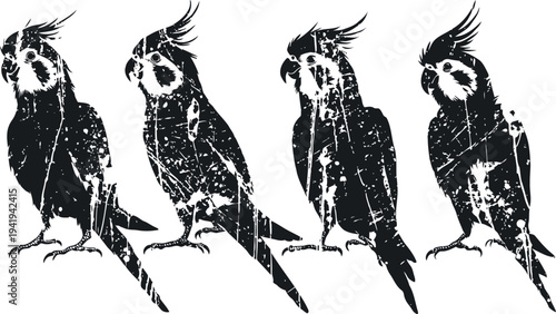 Silhouettes of four cockatoos in different poses with textured vintage effect