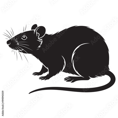 Black rat rodent animal sitting isolated vector illustration flat design