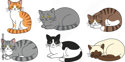 Black Cat Illustration SCat Illustration Set with Various Breeds and Sleeping Poseset with Cute Poses and Expressions