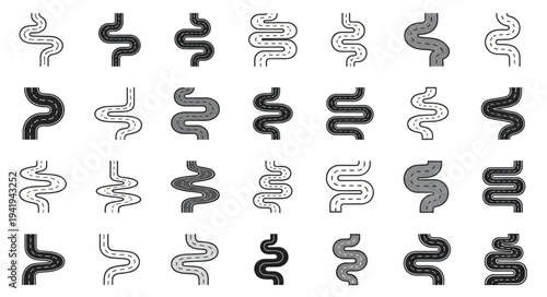 Collection of Intestine Icons - Human Anatomy and Digestive System.