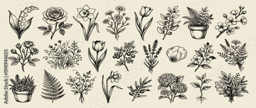 Grunge minimal charcoal or chalk spring summer flower collection. Vector illustration of ink hand drawn wild herbs set. Wax crayon drawing style. Floral silhouette elements for scrapbooking design.