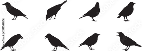 Set of flying bird silhouettes vector illustration isolated on white background