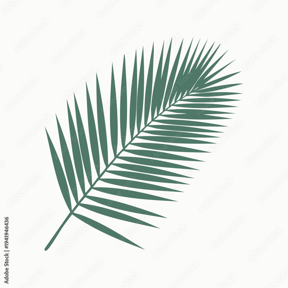 Fototapeta premium A single green palm frond isolated on a clean background viewed from a straightforward angle