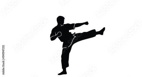 A martial artist demonstrating a dynamic kick stark black silhouette