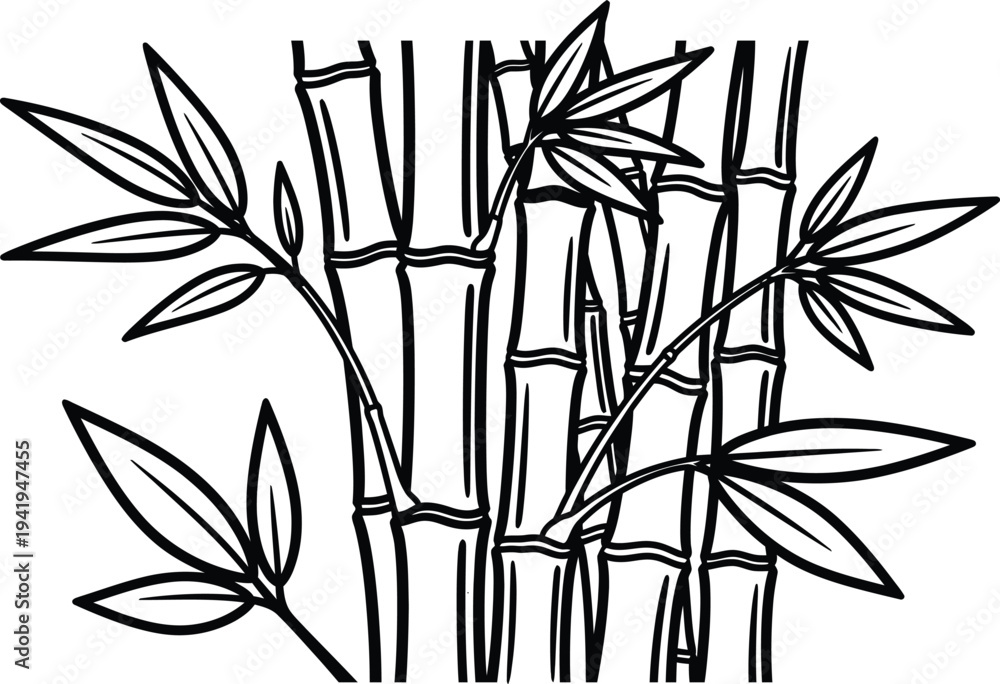 Obraz premium Bamboo plant with leaves and stems