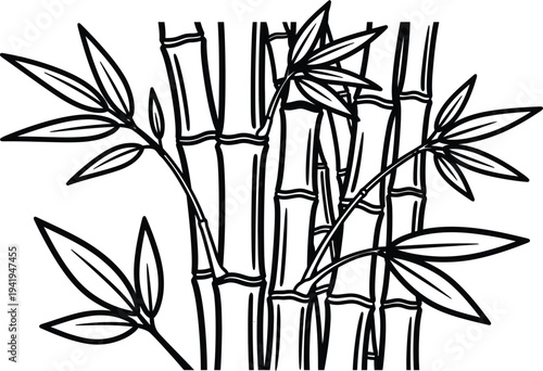 Bamboo plant with leaves and stems