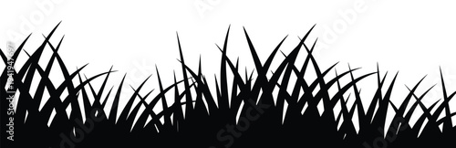 Grass silhouette border with wild meadow blades forming natural ground edge, black vector nature decoration isolated for landscape design, garden themes and eco backgrounds