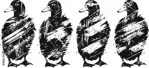 Abstract grunge duck silhouettes set artistic black and white duck shapes with rough textured