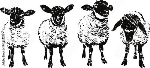 Four curious sheep standing close together on white background, farm animal herd in simple black and white design