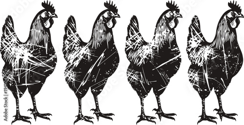 four vintage roosters silhouette in distressed rustic farm animal design with textured overlay