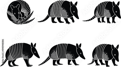 Armadillo silhouette collection set featuring multiple poses including curled and walking positions, detailed armored shell illustration isolated on white background for wildlife design use