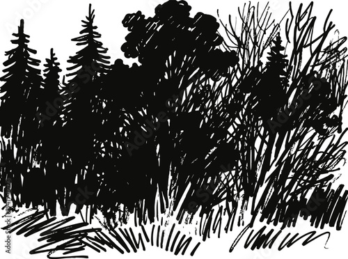 Dense forest silhouette with mixed trees and shrubs in black ink sketch