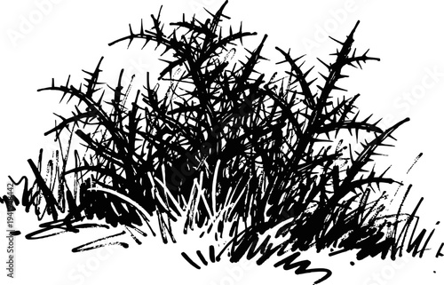 Silhouette of thorny bush with grass clumps, nature wild plant, black ink drawing illustration