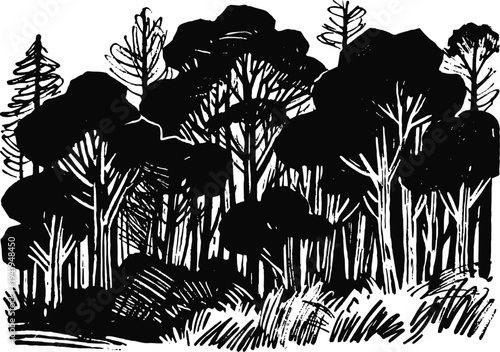 Dense forest silhouette with tall trees and thick undergrowth in black and white