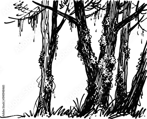 swamp trees with hanging moss and dense vegetation scene in black ink drawing
