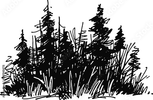 Dense cluster of pine trees and tall grasses silhouette in black ink sketch
