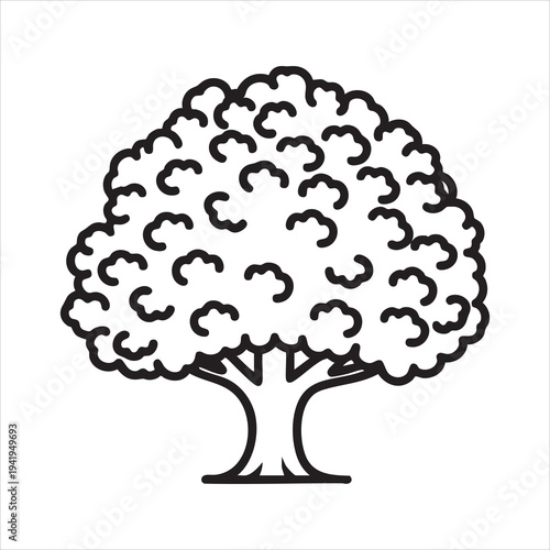 A simple line drawing of a tree with a large canopy