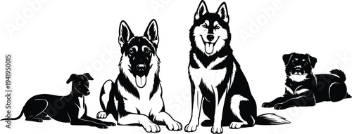 Black and white dog silhouettes set featuring German Shepherd, Siberian Husky and mixed breed dogs isolated on white background, detailed vector illustration collection.