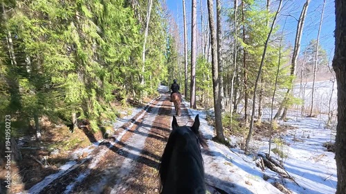 POV Riding Friesian Horse Following Finnish Horse Through Sunny Spring Forest