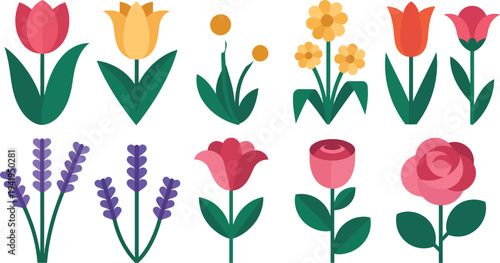 Flat vector illustration showcasing assorted flowers, including tulips, roses, and lavender, arranged neatly