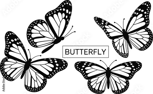 Black and white silhouette of monarch butterflies in various dynamic poses and a central text box with the word butterfly