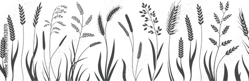 Collection of diverse grass and cereal plant silhouettes in a horizontal border for natural and agricultural themes