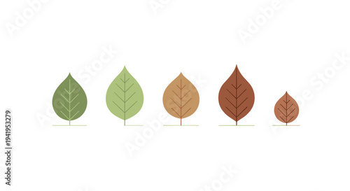 Flat minimalist autumn leaves in various colors