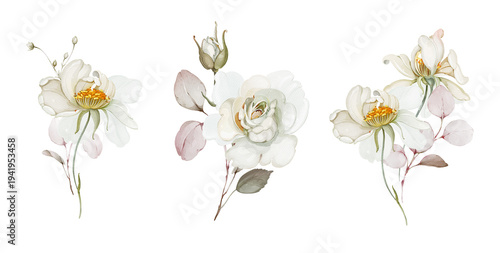Ivory Peony Floral Set, Elegant Wedding Flowers Illustration