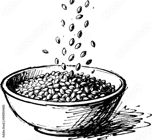 hand drawn illustration of falling grains filling a bowl, farm food concept