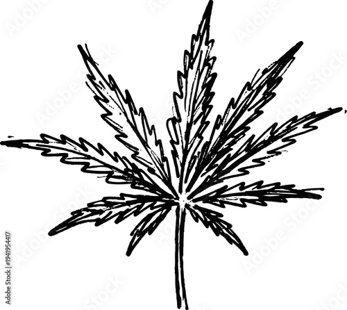 Detailed black and white illustration of a cannabis leaf with serrated edges and slender fingers