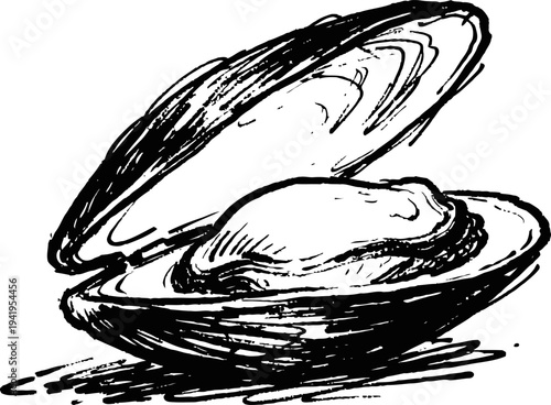 open oyster shell with pearl inside hand drawn seafood illustration marine mollusk and natural treasure concept