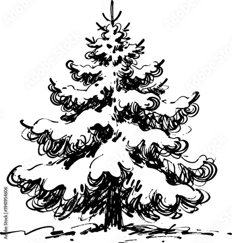 Hand drawn winter pine tree covered with snow black ink sketch of snowy evergreen forest tree in wintertime