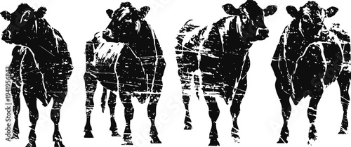 Four black silhouette cows walking forward in a rustic vintage isolated on white background