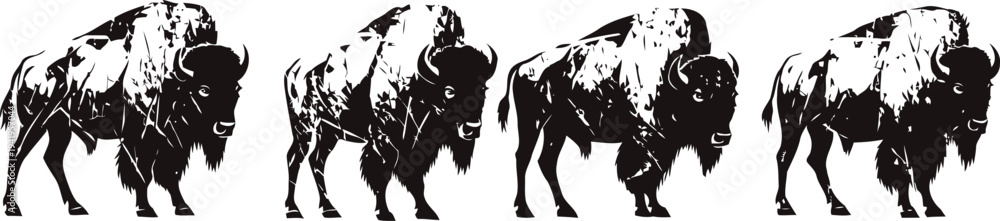 Fototapeta premium Black silhouette of walking bison herd american buffalo wildlife animal isolated on white background