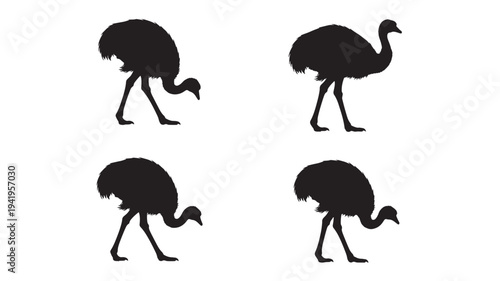 Ostrich silhouettes set with black outlines in various poses showing different head and leg positions on white background.