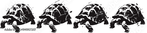 four black and white tortoises walking in a row with visible textures and shadows