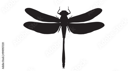 Dragonfly silhouette with four large wings and segmented body, isolated on a white background for graphic design elements.