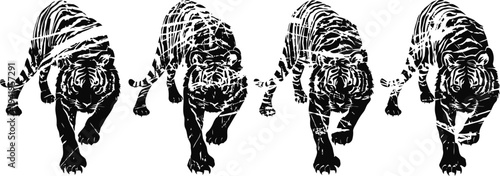 four running tigers in sequential motion black and white dynamic animal illustration with striped pattern and fierce expression