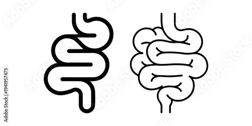 Two stylized icons depicting human intestines, graphic outline symbols for medical or biological representation on clean white background