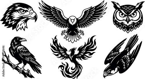 Black and white flat design vector set of eagle falcon raven owl phoenix bird tattoos with wings and detailed feathers
